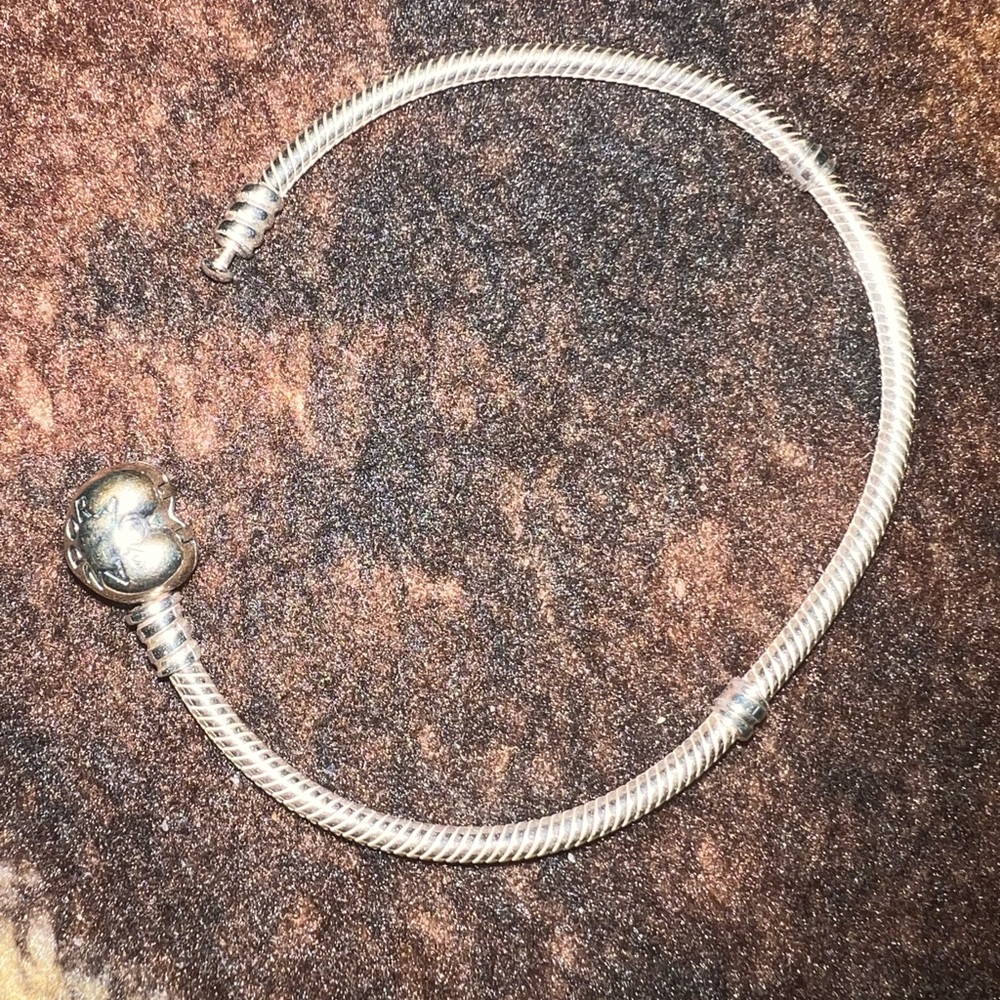 Pandora Bracelet